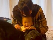 赤ちゃんと一緒に入院から帰ってきたら、大型犬が…思わず感動する『６日ぶりのおかえりなさい』が10万再生「大切な兄妹なんだ」「嬉しそう」