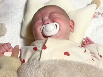 号泣する赤ちゃんをあやしていたら、犬が靴下を…『マルチタスクすぎる状況』が面白すぎると60万再生「情報量ｗｗ」「赤ちゃんふたりいて草」