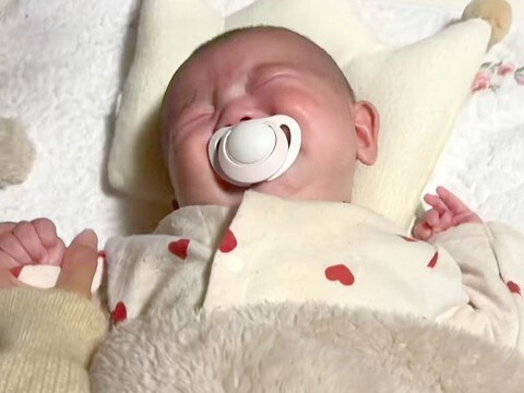 号泣する赤ちゃんをあやしていたら、犬が靴下を…『マルチタスクすぎる状況』が面白すぎると60万再生「情報量ｗｗ」「赤ちゃんふたりいて草」