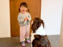 2歳の女の子が『犬にオヤツをあげた』結果…いつまでも見ていたい『尊すぎる時間』が32万再生「おしまいの顔たまらん」「ほのぼのしちゃう」