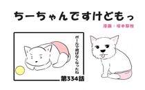 ちーちゃんですけどもっ【第334話】「君は君のままで素敵だよ」