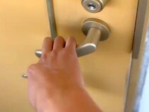 いつもより仕事が早く終わったので、サプライズで帰った結果→犬が…早く退勤したくなる『尊い光景』が30万再生「たまらない」「疲れ吹っ飛ぶ」