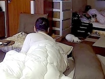 夜、悪夢にうなされるママ→犬とパパが飛び起きて…カメラに映った『コントのような光景』が35万再生「動きが一緒ｗｗ」「就寝中もおもろい」