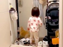 パパが海外出張から帰宅→小さな娘と犬が玄関で待っていて…尊すぎる『全力のおかえりなさい』が647万表示「幸せそう」「平和で可愛い」の声