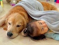 転がる1歳の女の子と大型犬に『タオルをかけてあげた』結果→『一緒に眠ろう』と誘う光景が尊すぎると39万再生「ほんと優しい」「全員可愛い」