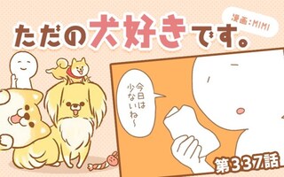 ただの犬好きです。【第337話】「チェック」