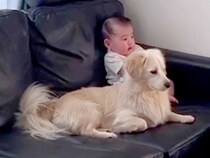 赤ちゃんと犬の日常を撮影→まるで『本当の兄妹』のように…微笑ましすぎる光景に反響「なんて可愛いの」「仲良しで癒される」と4万再生