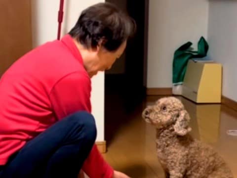 犬を飼うのに反対していたおばあちゃん→いざワンコがお家にやってくると…尊すぎる光景が26万再生「デレデレｗ」「可愛くて仕方ないんだ」