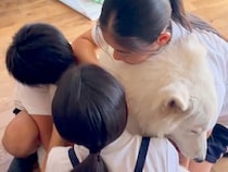 3人の子どもが帰宅→みんなで大型犬を抱きしめて…涙が出るほど尊い『家族のふれあい』に絶賛「愛されて幸せだ」「映画みたいｗ」と3万再生