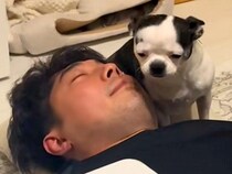 旦那のことが大好きな犬→目の前でイチャイチャしようとしたので見ていたら…まさかの『気遣いをみせる姿』に「シパシパの目がｗｗ」と爆笑