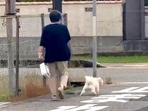 おばあちゃんが『犬の散歩中に立ち話を始めた』結果…後ろからでも分かる『ブチギレた光景』が219万再生「メッチャ怒ってて草」「プンスカｗ」