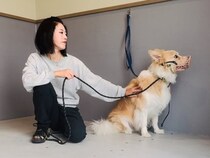 怖がりで本気噛みをしてしまう犬…真摯に向き合った結果→涙が溢れる『嘘のような変化』が408万再生「表情が違う…」「本当は甘えん坊さん」