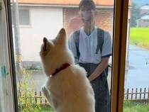 朝、学校に行こうとする女の子→窓越しに『大型犬』が…引きとめたくて見せた『まさかの行動』が話題「可愛いｗ」「お姉ちゃん、犬の愛で欠席」