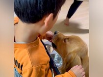 ２人の小学生が『大型犬と一緒に育った』結果→本当の兄弟のようで…心温まる『愛おしい光景』に絶賛の声「大切な家族の一員」「気持ちが和んだ」