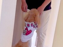 ２週間ぶりに入院から帰宅したパパ→犬が泣いているような鳴き声で…感動的な『お出迎えの光景』に反響「めっちゃ喜んでくれてる」「大感激」