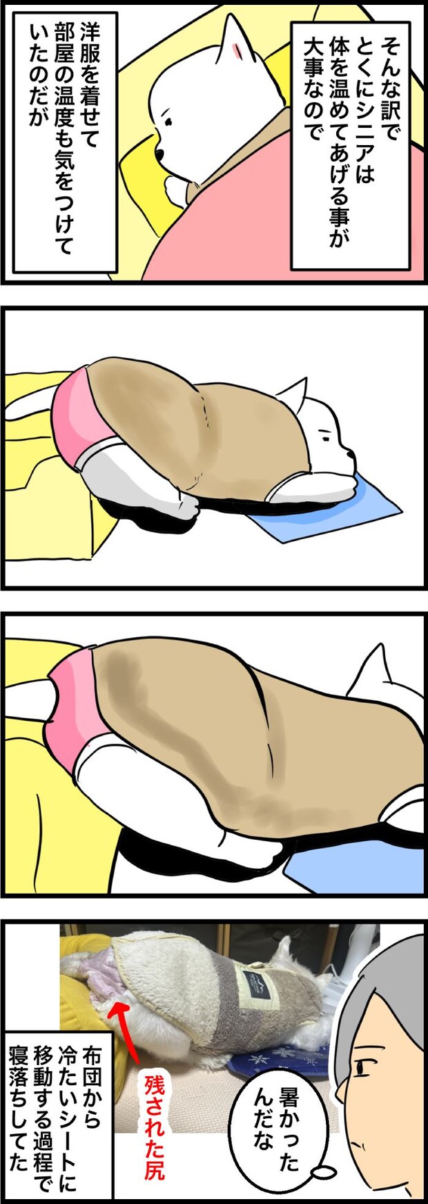 ちーちゃんですけどもっ【第335話】２