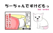 ちーちゃんですけどもっ【第335話】「冬の気温問題」