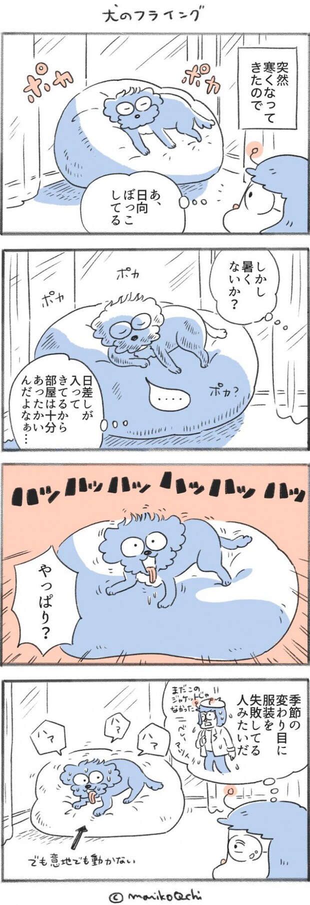 犬と暮らせば【第516話】