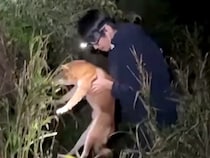 夜、川に来た2人の男性→なぜか『犬の鳴き声』がして…まさかの光景と驚きの展開が58万再生「助けてくれてありがとう」「すごい行動力」と称賛