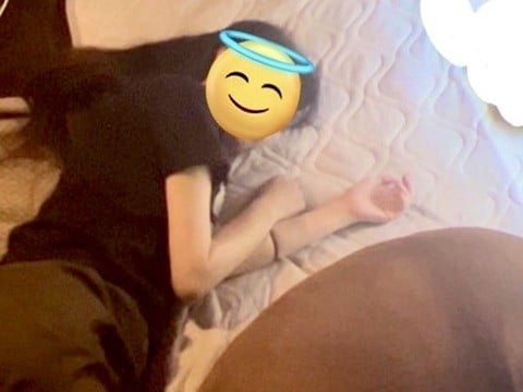 身長160cmの女性と添い寝する超大型犬→『圧巻の大きさ』が106万表示「予想の3倍以上デカかった」「大きなクッションかと」と驚きの声