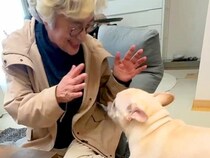 『起きたらおばあちゃんがいるドッキリ』を犬に仕掛けた結果…想定外の展開で見せた『100点のリアクション』に反響「超可愛い」「幸せな寝起き」