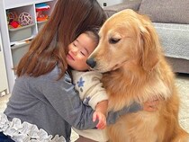 ママに甘えて抱きつく大型犬→1歳の女の子が嫉妬して割り込んだら…寛大すぎる『神対応』が17万再生「全員可愛い」「幸せが溢れてる」と反響