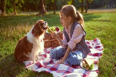 犬におやつをあげる少女