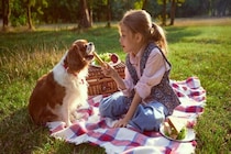 犬が『食事中に遊ぶ』のをやめさせたほうがいい理由4つ　起こりうる問題から改善策まで