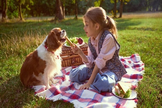 犬が『食事中に遊ぶ』のをやめさせたほうがいい理由4つ　起こりうる問題から改善策まで
