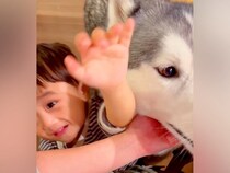 小さい男の子と大型犬が『ママの取り合い』をした結果…本当の兄弟のような『どちらも譲らない光景』に反響「可愛い三角関係」「モテモテ」