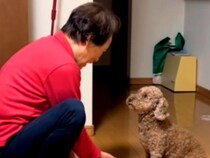 犬を飼うのに反対していたおばあちゃん→いざワンコがお家にやってくると…尊すぎる光景が26万再生「デレデレｗ」「可愛くて仕方ないんだ」