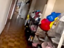 家に帰り『犬が駆け寄ってくる』と思いきや、見当たらず…予想を超えてきた『まさかの擬態』が63万再生「綺麗にハマってるｗ」「全てが可愛い」