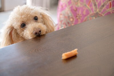 テーブルの上におやつ