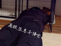 犬を愛している『高校生の息子』が帰宅→突然ケージで寝転がり…まさかの展開で見せた『ワンコの反応』が118万再生「訴えてるｗ」「可愛すぎ」