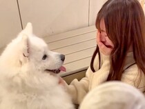 離れ離れになった大型犬と2ヶ月ぶりに再会した女性→嬉しくて泣いてしまった結果…まさかの光景が151万再生「泣かないでって…」「イケメン」