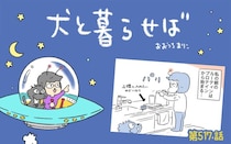 犬と暮らせば【第517話】「エマと私の大事な袋」
