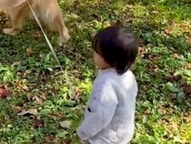 小さい男の子が大型犬のリードを持った結果→走ることもできるのに…『驚きの行動』に感動が止まらないと絶賛「賢すぎる」「歩調に合わせてる」