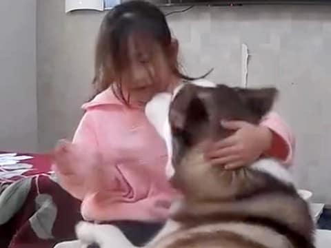 パート中、ふと見守りカメラを確認した結果→小学校から帰宅した娘とシベリアンハスキーが…尊すぎる光景に反響「こんなの見たら泣いちゃう…」