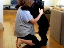 近所で救急車のサイレンが鳴った結果、犬が怖がり…まるで子供のような『ママに助けを求める光景』が7万再生「めちゃ可愛いｗ」「抱きしめたい」