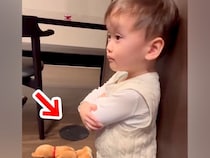 小さな男の子がお皿を割ったので叱ったら、大型犬が間に入って…愛に溢れた『ボディーガード』が30万再生「いい兄貴」「まとめてハグしたい」