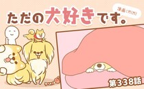ただの犬好きです。【第338話】「寝起き」