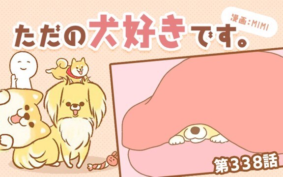 ただの犬好きです。【第338話】「寝起き」