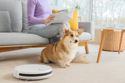 ロボット掃除機とコーギー
