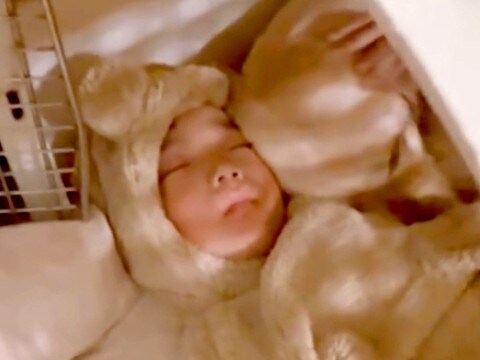 小さな男の子が『大型犬のハウスで寝てしまった』結果→邪魔かなと思いきや…愛を感じる『まさかの光景と結末』が188万再生「秘密基地みたい」