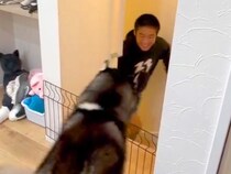 寮から１ヶ月ぶりに帰宅した男の子→大型犬と再会した瞬間…思わず涙腺が緩む『愛溢れる光景』に反響「最高だね」「見てるだけで幸せになる」