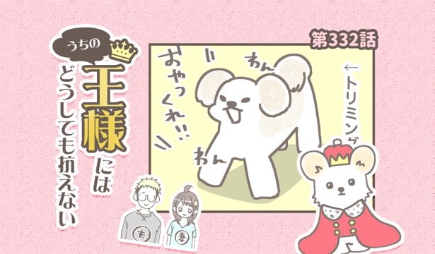うちの王様にはどうしても抗えない【第332話】「ダイレクト肉球」