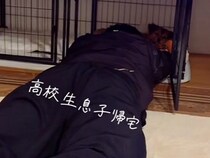 犬を愛している『高校生の息子』が帰宅→突然ケージで寝転がり…まさかの展開で見せた『ワンコの反応』が118万再生「訴えてるｗ」「可愛すぎ」