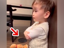 小さな男の子がお皿を割ったので叱ったら、大型犬が間に入って…愛に溢れた『ボディーガード』が30万再生「いい兄貴」「まとめてハグしたい」