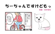 ちーちゃんですけどもっ【第337話】「ちーちゃんと面会」