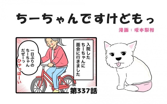 ちーちゃんですけどもっ【第337話】「ちーちゃんと面会」